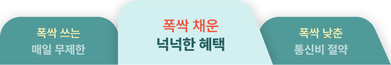 갓성비요금